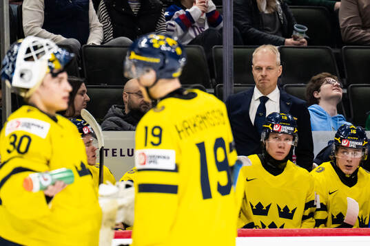 Head coach Magnus Hävelid of Sweden