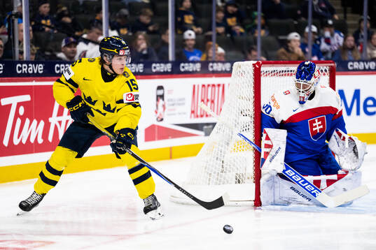 Ivar Stenberg of Sweden and goaltender Alan Lendak of