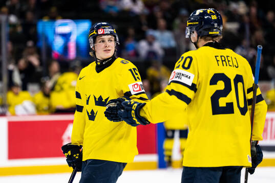Ivar Stenberg and Alfons Freij of Sweden