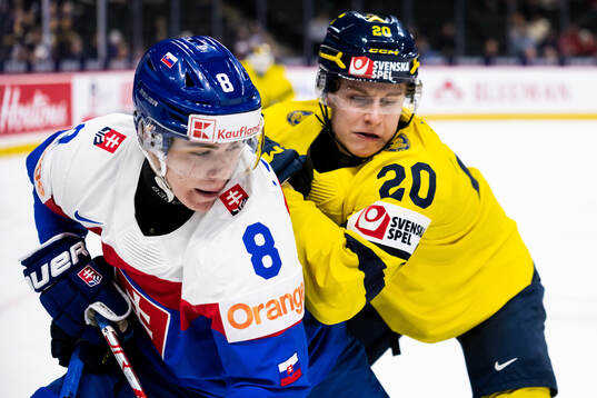 Michal Liscinsky of Slovakia and Alfons Freij of Sweden