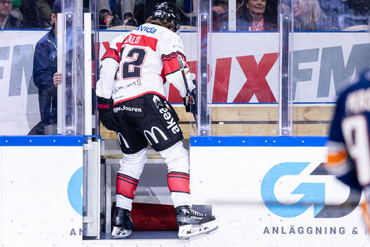 Malmö Redhawks Robin Salo reagerar när han blir utvisad