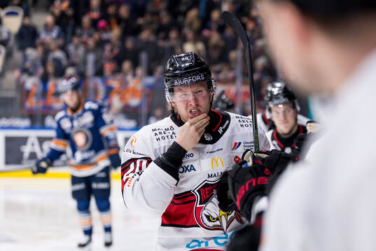 Malmö Redhawks Thomas Berg Paulsen jublar