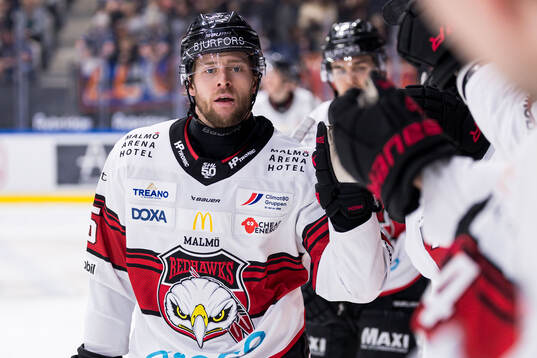 Malmö Redhawks Carl Persson jublar