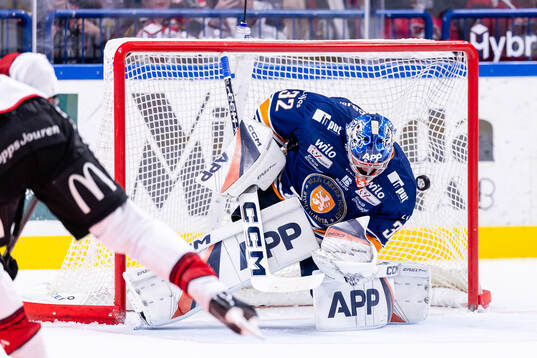 Malmö Redhawks Fredrik Händemark (ej i bild) gör mål