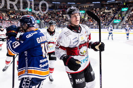 Växjös Reid Gardiner deppar och Malmö Redhawks Fredrik