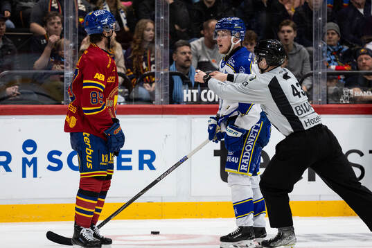 Djurgårdens Oula Palve och Leksands Kalle Östman i bråk