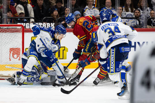 Leksands Alexander Lundqvist och Djurgårdens Ludvig