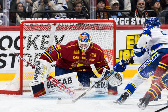 Djurgårdens målvakt Magnus Hellberg
