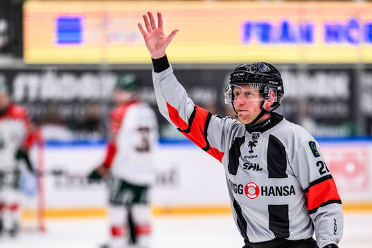 Domare Mikael Holm