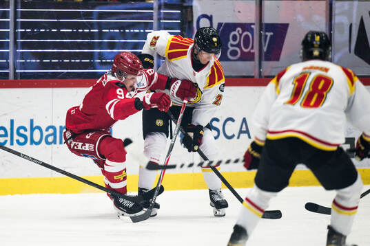 Timrås Sebastian Hartmann och Brynäs Oskar Lindblom