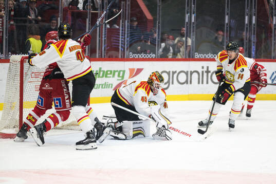 Brynäs målvakt Damian Clara