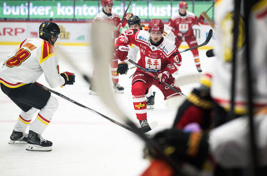 Timrås David Lilja