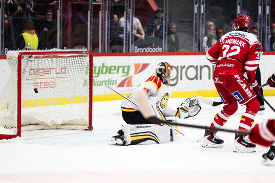 Timrås Simon Forsmark (ej i bild) gör 1-0 bakom Brynäs