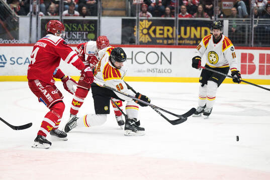 Brynäs Luke Witkowski