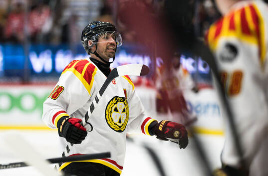 Brynäs Anton Rödin