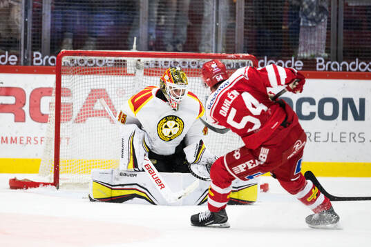 Brynäs målvakt Damian Clara