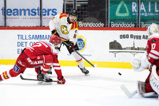 Brynäs Kieffer Bellows
