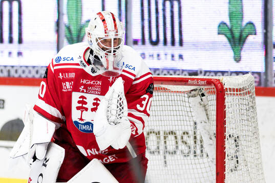 Timrås målvakt Jacob Johansson jublar