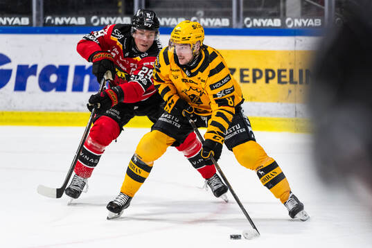 Luleås Erik Gustafsson och Skellefteås Oliver Okuliar