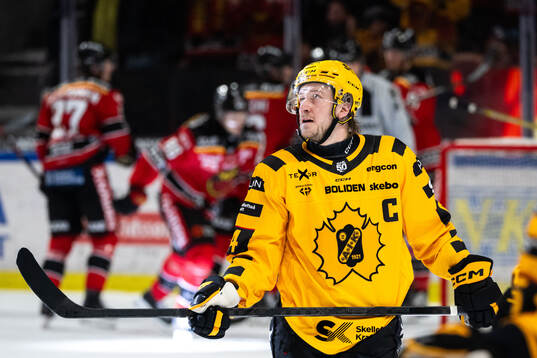 Skellefteås Jonathan Pudas deppar
