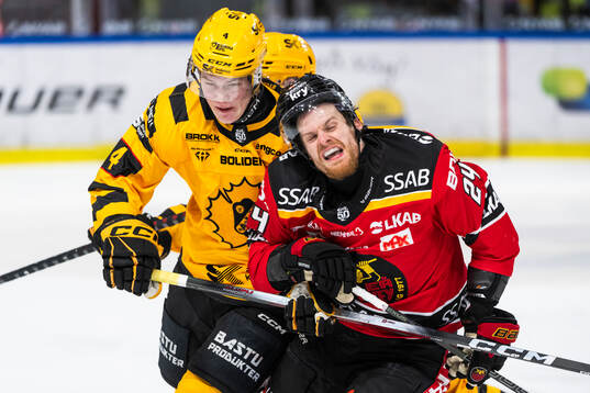Skellefteås Rasmus Bergqvist och Luleås Brendan Shinnimin