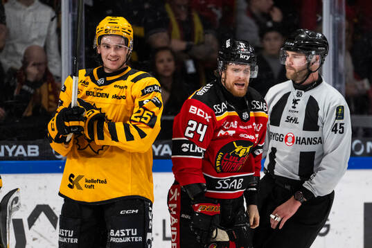Skellefteås Pontus Johansson och Luleås Brendan Shinnimin