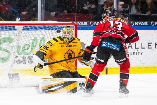 Skellefteås målvakt Strauss Mann och Luleås Eetu
