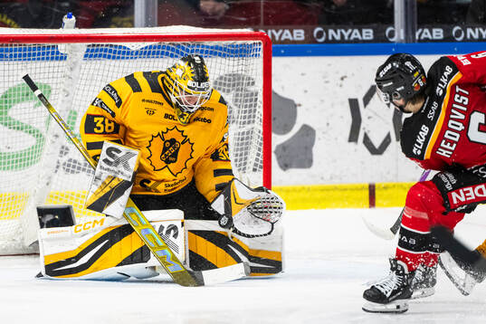 Skellefteås målvakt Strauss Mann
