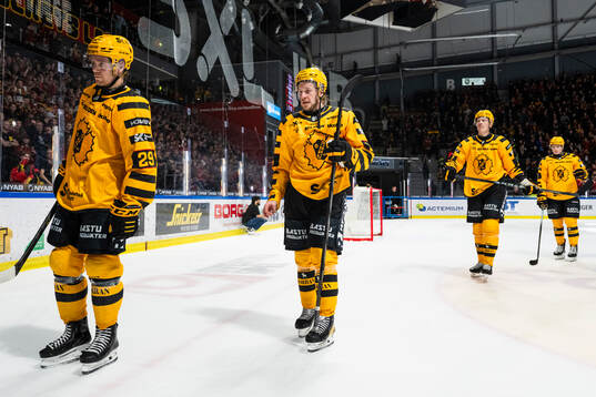 Skellefteås Jonathan Pudas deppar