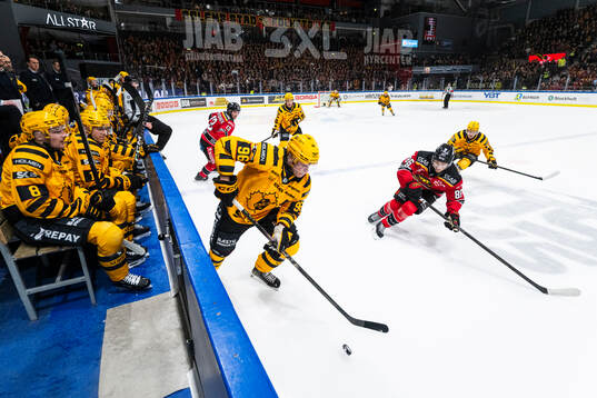 Skellefteås Rickard Hugg och Luleås Mathias Bromé