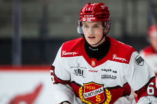 Almtunas Ludvig Georgsson