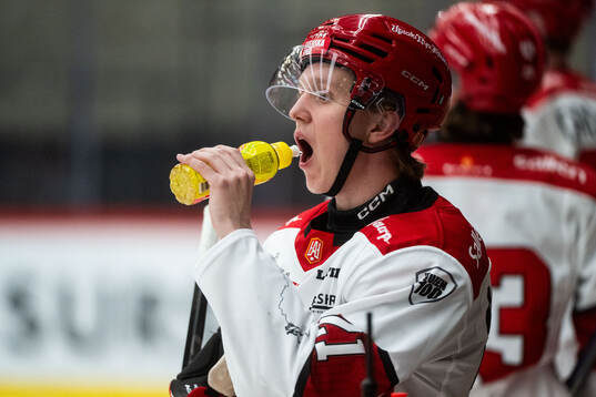 Almtunas Melvin Wersäll