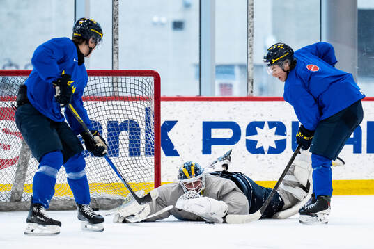 Ivar Stenberg, goaltender Love Härenstam and Casper