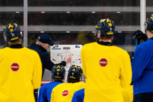Head coach Magnus Hävelid of Sweden at a practice session