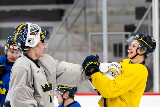 Goaltender Love Härenstam and Eddie Genborg of Sweden at a