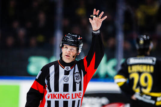 Domare Mikael Nord