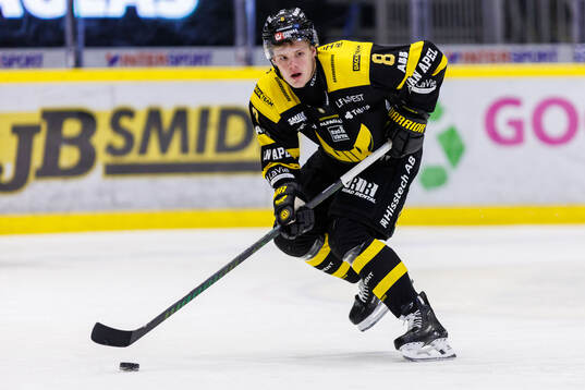 Västerås Viktor Pennerborn