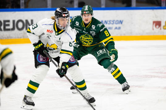 Björklövens Lucas Nordsäter