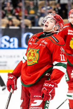 Moras Gustav Salmi-Lilja