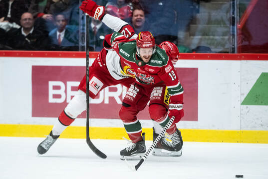 Bläddra bland fler bilder av Ishockey, Hockeyallsvenskan, Modo - Almtuna