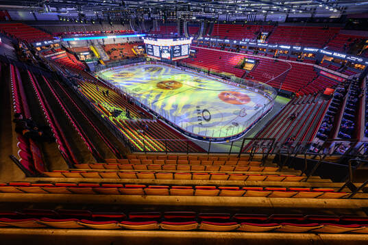 Monitor ERP Arena