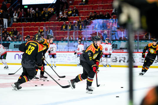Brynäs Leo Sundqvist