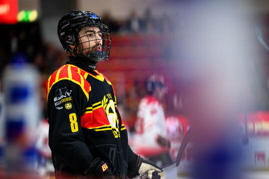 Brynäs Bobby Trivigno