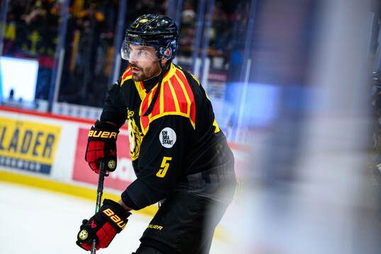 Brynäs Michal Kempny
