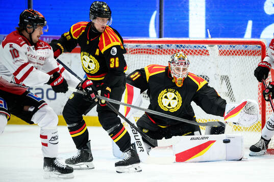Brynäs målvakt Erik Källgren