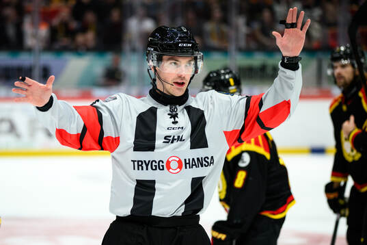 Domare Filip Eriksson