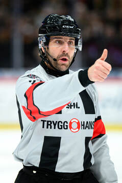 Domare Mikael Sjöqvist