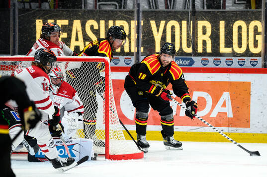 Örebros målvakt Jhonas Enroth och Brynäs Anton Rödin