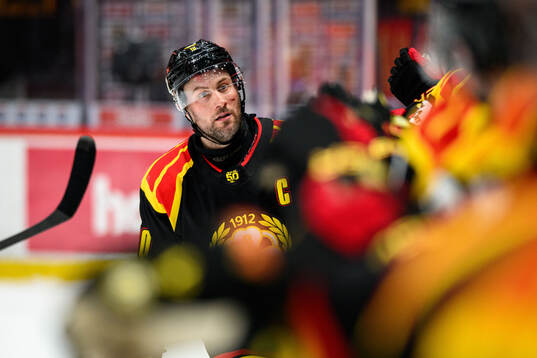 Brynäs Johan Larsson jublar