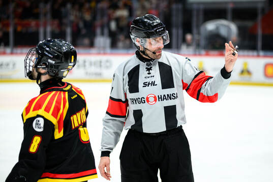 Domare Mikael Sjöqvist